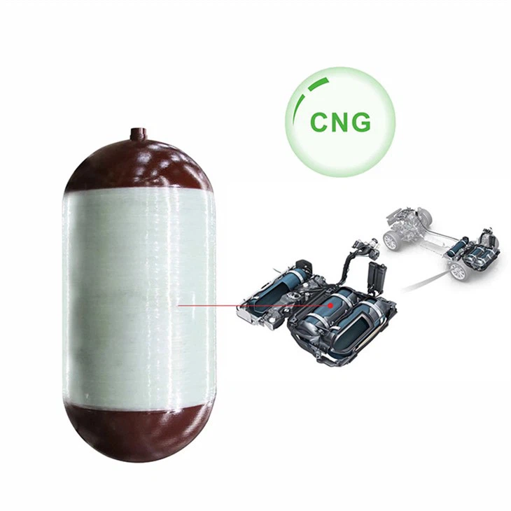 CNG2-Cylinder-Vehicle (6)